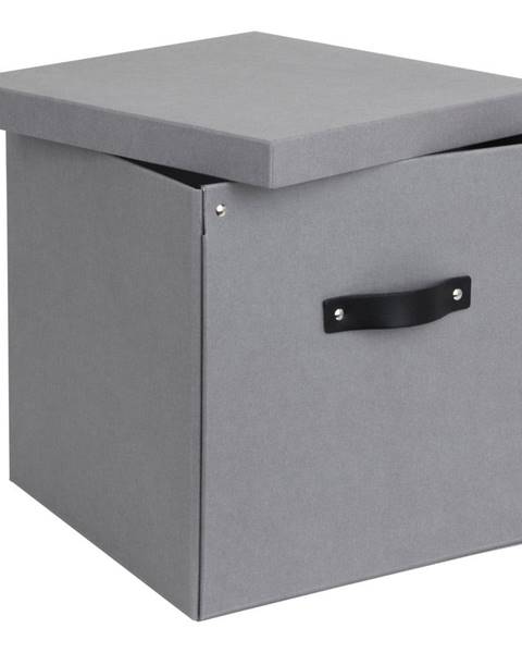 Svetlosivá úložná škatuľa Bigso Box of Sweden Logan