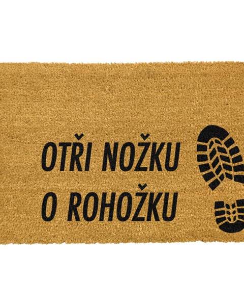 Rohožka z prírodného kokosového vlákna Artsy Doormats Otři Nožku, 40 x 60 cm